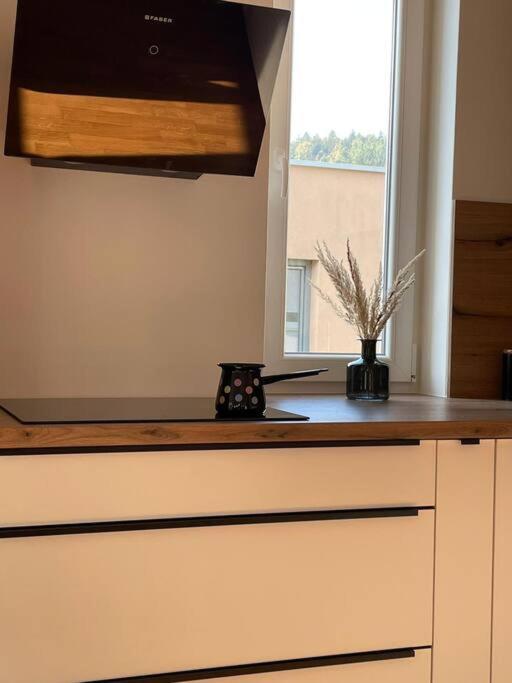 Ferienwohnung Mely Rose Laibach Exterior foto